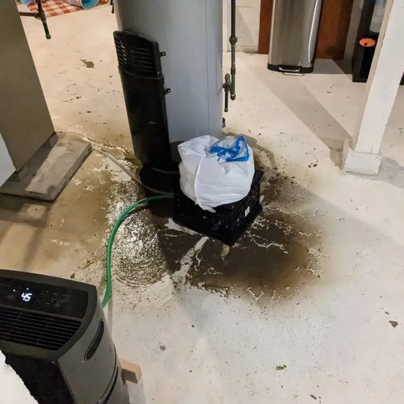 Sewage Backup Cleanup Service in Contra Costa County, CA